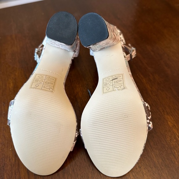 Call It Spring, snake skin heals - Picture 5 of 5